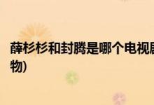 薛杉杉和封騰是哪個電視劇(薛杉杉和封騰是什么電視劇的人物)