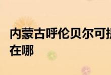 內蒙古呼倫貝爾可提供三星手機維修服務地址在哪