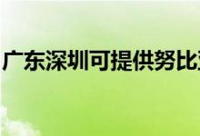 廣東深圳可提供努比亞手機維修服務地址在哪