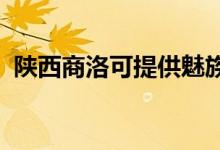 陜西商洛可提供魅族手機維修服務地址在哪