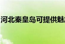 河北秦皇島可提供魅族手機維修服務地址在哪
