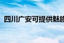 四川廣安可提供魅族手機維修服務地址在哪