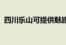 四川樂山可提供魅族手機維修服務地址在哪