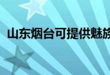 山東煙臺可提供魅族手機維修服務地址在哪