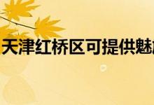 天津紅橋區(qū)可提供魅族手機維修服務地址在哪