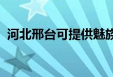 河北邢臺可提供魅族手機維修服務地址在哪