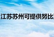 江蘇蘇州可提供努比亞手機維修服務地址在哪