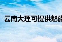 云南大理可提供魅族手機維修服務地址在哪