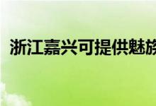 浙江嘉興可提供魅族手機維修服務地址在哪