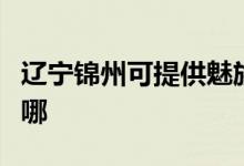 遼寧錦州可提供魅族平板電視維修服務地址在哪