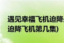 遇見幸福飛機(jī)迫降是哪一集(遇見幸福司問渠迫降飛機(jī)第幾集)