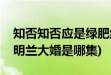 知否知否應是綠肥紅瘦第幾集明蘭出嫁(知否明蘭大婚是哪集)