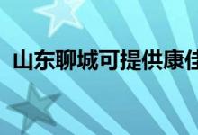 山東聊城可提供康佳冰箱維修服務地址在哪