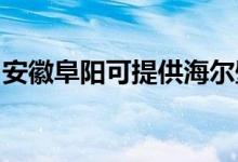安徽阜陽(yáng)可提供海爾壁掛爐維修服務(wù)地址在哪