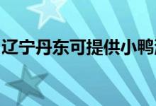 遼寧丹東可提供小鴨洗衣機(jī)維修服務(wù)地址在哪