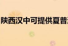陜西漢中可提供夏普洗衣機(jī)維修服務(wù)地址在哪