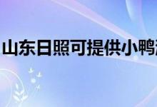 山東日照可提供小鴨洗衣機(jī)維修服務(wù)地址在哪