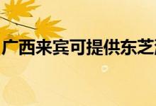 廣西來賓可提供東芝洗衣機維修服務(wù)地址在哪