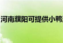 河南濮陽(yáng)可提供小鴨洗衣機(jī)維修服務(wù)地址在哪