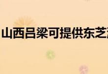 山西呂梁可提供東芝洗衣機維修服務(wù)地址在哪