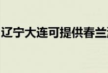 遼寧大連可提供春蘭洗衣機(jī)維修服務(wù)地址在哪