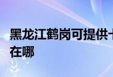 黑龍江鶴崗可提供卡薩帝洗衣機維修服務(wù)地址在哪