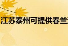 江蘇泰州可提供春蘭洗衣機(jī)維修服務(wù)地址在哪