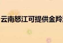 云南怒江可提供金羚洗衣機(jī)維修服務(wù)地址在哪