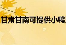 甘肅甘南可提供小鴨洗衣機(jī)維修服務(wù)地址在哪