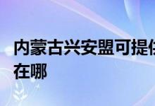 內(nèi)蒙古興安盟可提供志高洗衣機維修服務(wù)地址在哪