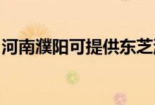 河南濮陽可提供東芝洗衣機維修服務(wù)地址在哪
