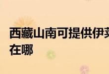 西藏山南可提供伊萊克斯洗衣機維修服務(wù)地址在哪