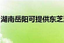 湖南岳陽可提供東芝洗衣機維修服務(wù)地址在哪