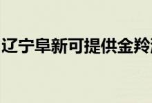 遼寧阜新可提供金羚洗衣機(jī)維修服務(wù)地址在哪