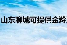 山東聊城可提供金羚洗衣機(jī)維修服務(wù)地址在哪