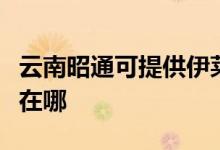 云南昭通可提供伊萊克斯洗衣機維修服務(wù)地址在哪