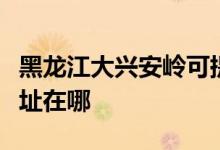 黑龍江大興安嶺可提供康佳洗衣機維修服務地址在哪