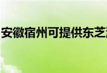 安徽宿州可提供東芝洗衣機(jī)維修服務(wù)地址在哪