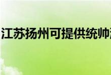 江蘇揚(yáng)州可提供統(tǒng)帥洗衣機(jī)維修服務(wù)地址在哪