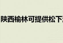 陜西榆林可提供松下洗衣機維修服務(wù)地址在哪