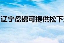 遼寧盤錦可提供松下洗衣機維修服務(wù)地址在哪