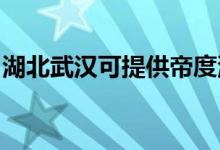 湖北武漢可提供帝度洗衣機(jī)維修服務(wù)地址在哪