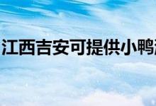 江西吉安可提供小鴨洗衣機(jī)維修服務(wù)地址在哪