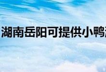 湖南岳陽(yáng)可提供小鴨洗衣機(jī)維修服務(wù)地址在哪