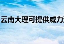 云南大理可提供威力洗衣機(jī)維修服務(wù)地址在哪
