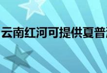 云南紅河可提供夏普洗衣機(jī)維修服務(wù)地址在哪
