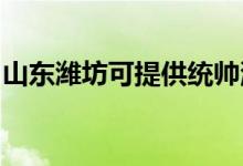 山東濰坊可提供統(tǒng)帥洗衣機(jī)維修服務(wù)地址在哪