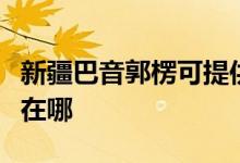 新疆巴音郭楞可提供威力洗衣機維修服務(wù)地址在哪