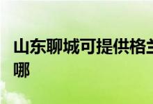 山東聊城可提供格蘭仕洗衣機(jī)維修服務(wù)地址在哪