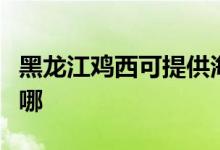 黑龍江雞西可提供海信洗衣機(jī)維修服務(wù)地址在哪